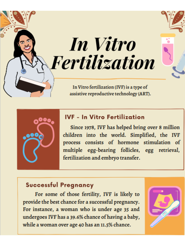 In Vitro Fertilization